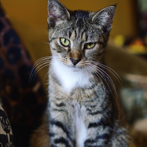 PRICE DROP!! - Picture 2 of 8